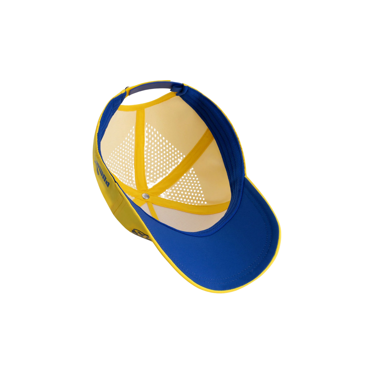 Gorra Pitlane Trucker Williams Racing 2025